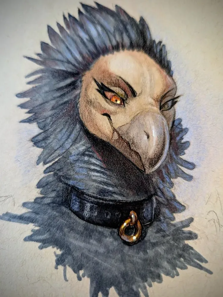 Evil burd